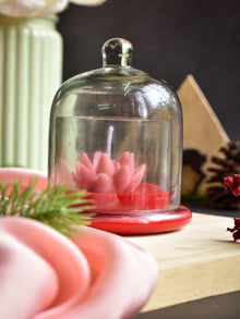 Rose Succulant Candle