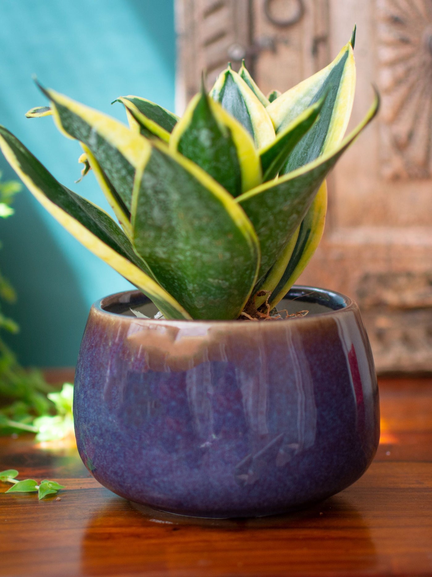 Round Ceramic Bonsai Planter Purple