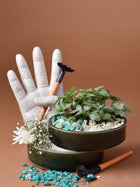 Round Plate Planter - Small
