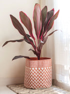 Rust Chevron Cotton Basket Large