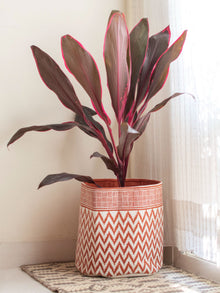 Rust Chevron Cotton Basket Large