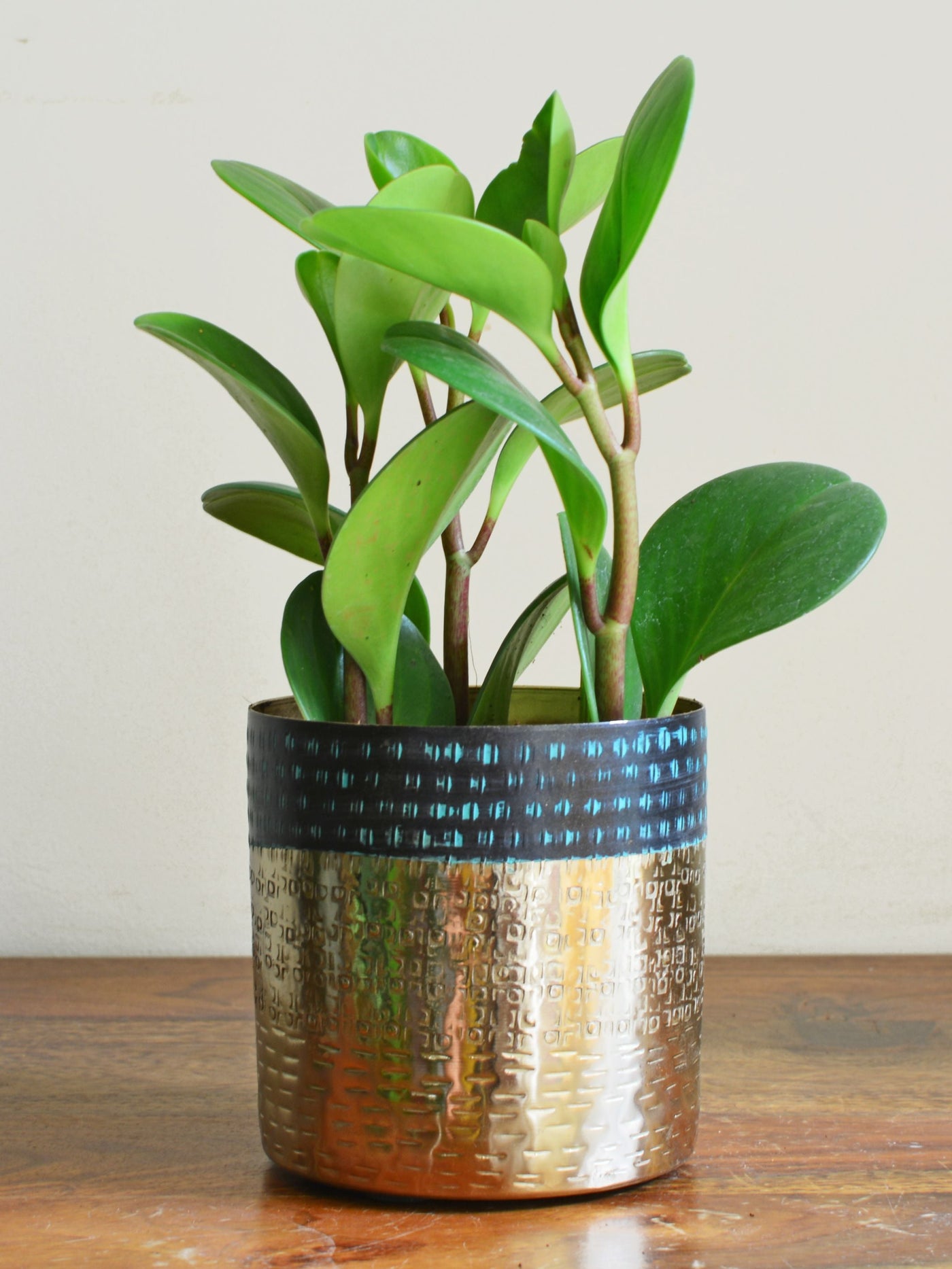 Rustic Gold Tabletop Planter