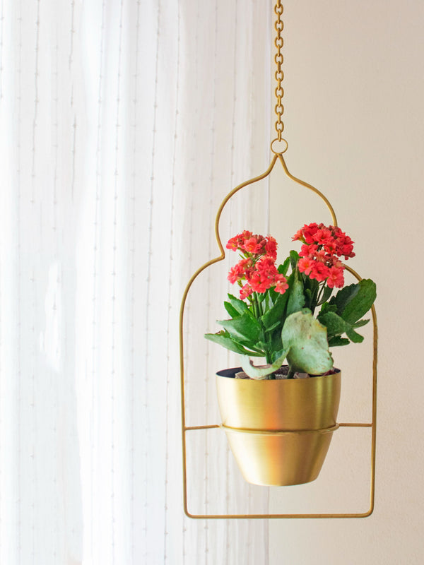 Saira Planter