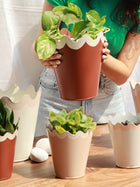 Scallop Metal Planter