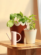 Scallop Metal Planter