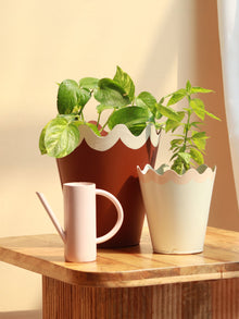Scallop Metal Planter