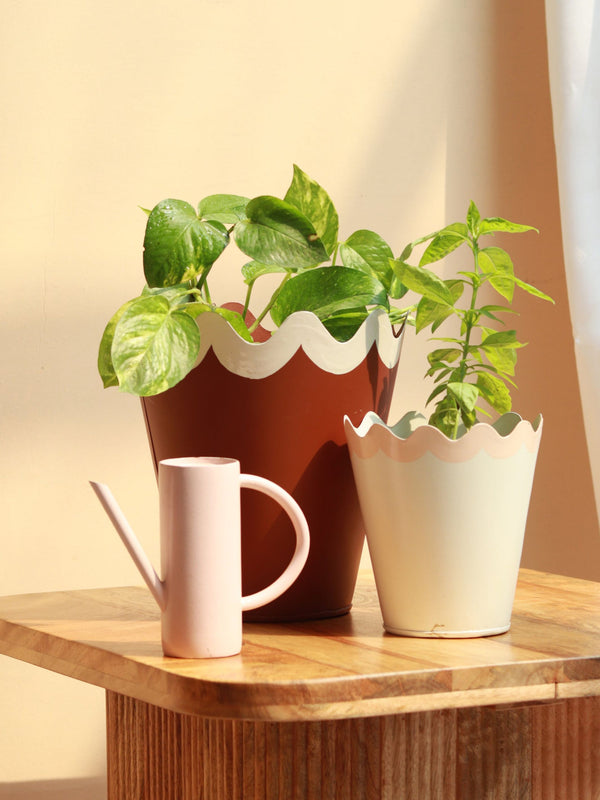Scallop Metal Planter