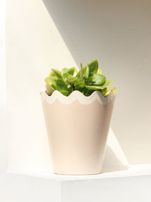 Scallop Metal Planter