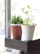 Scallop Metal Planter