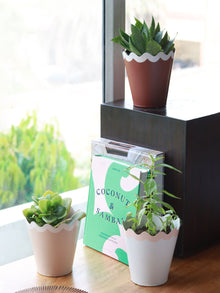 Scallop Metal Planter