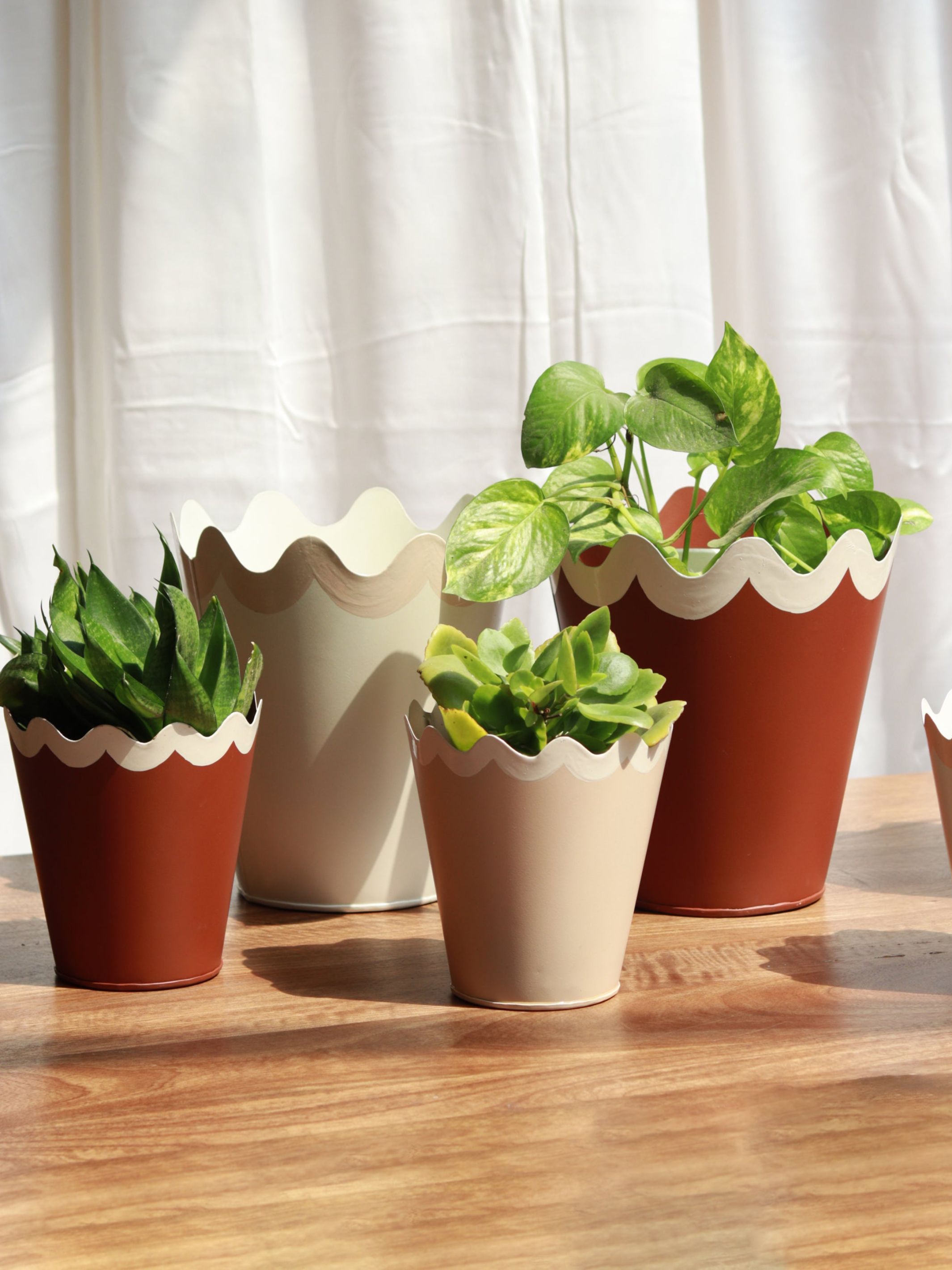 Scallop Metal Planter