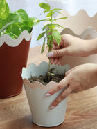 Scallop Metal Planter