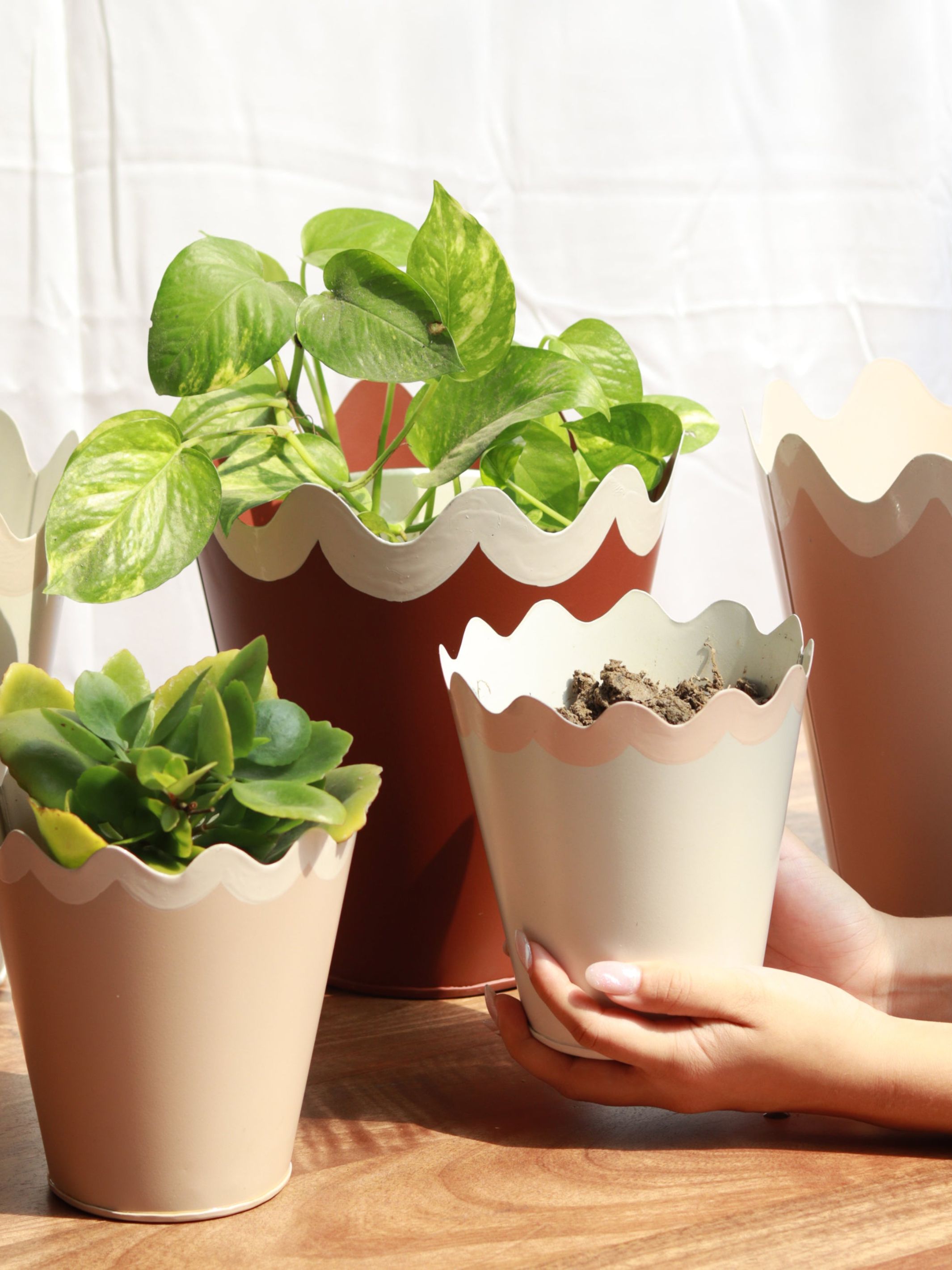 Scallop Metal Planter