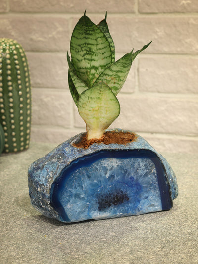 Semi Precious Planter - Blue