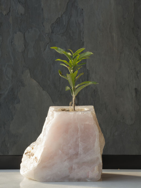 Semi Precious Planter