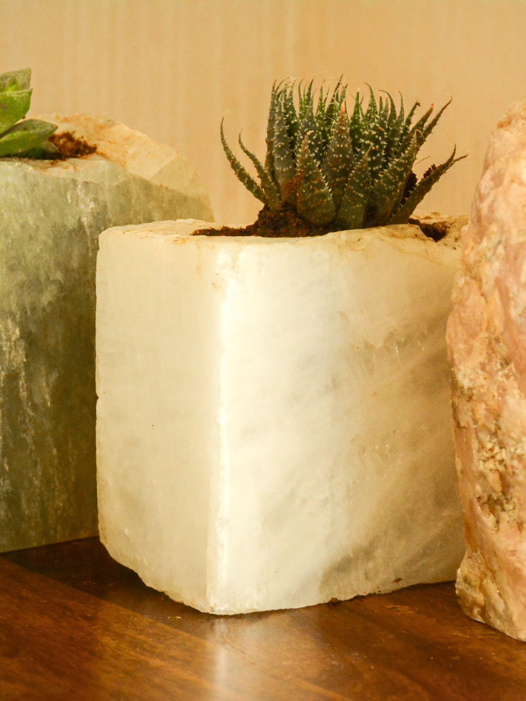 Semi Precious Planter
