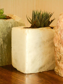 Semi Precious Planter