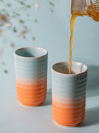 Ribbed Tumbler Set of  2 - Shaded