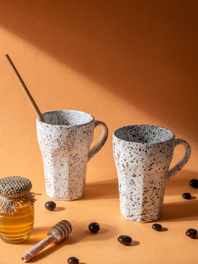 Speckled Mug Set of 2