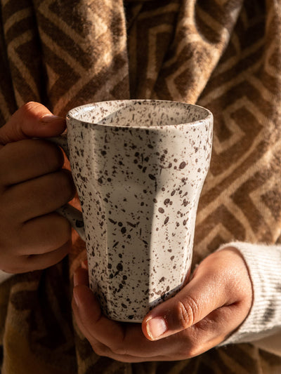 Speckled Mug Set of 2