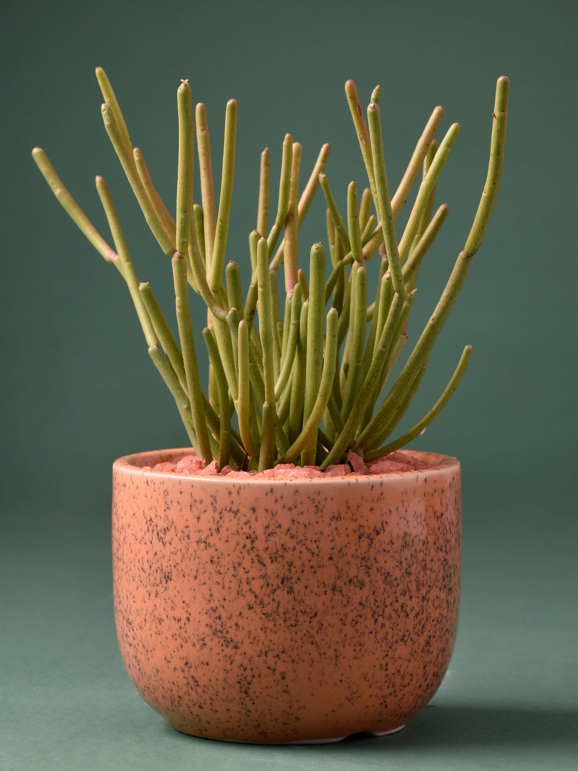Speckled Round Ceramic Planter