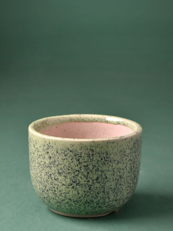 Speckled Round Ceramic Planter
