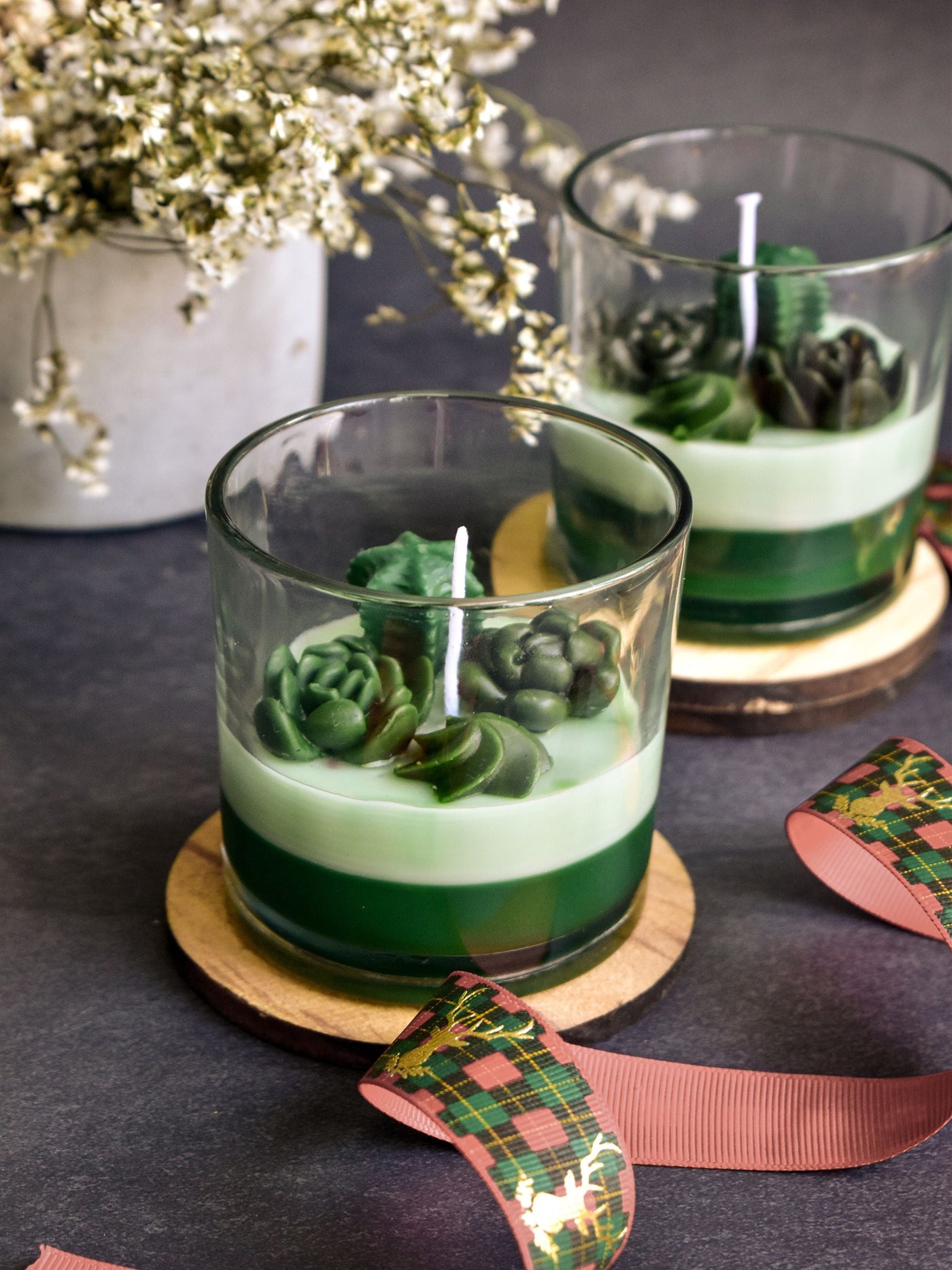 Succulant & Cacti Candle