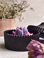 Voilet Echeveria Candle In Black Jar