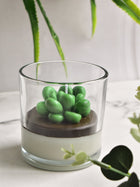 Echeveria Succulent Candle