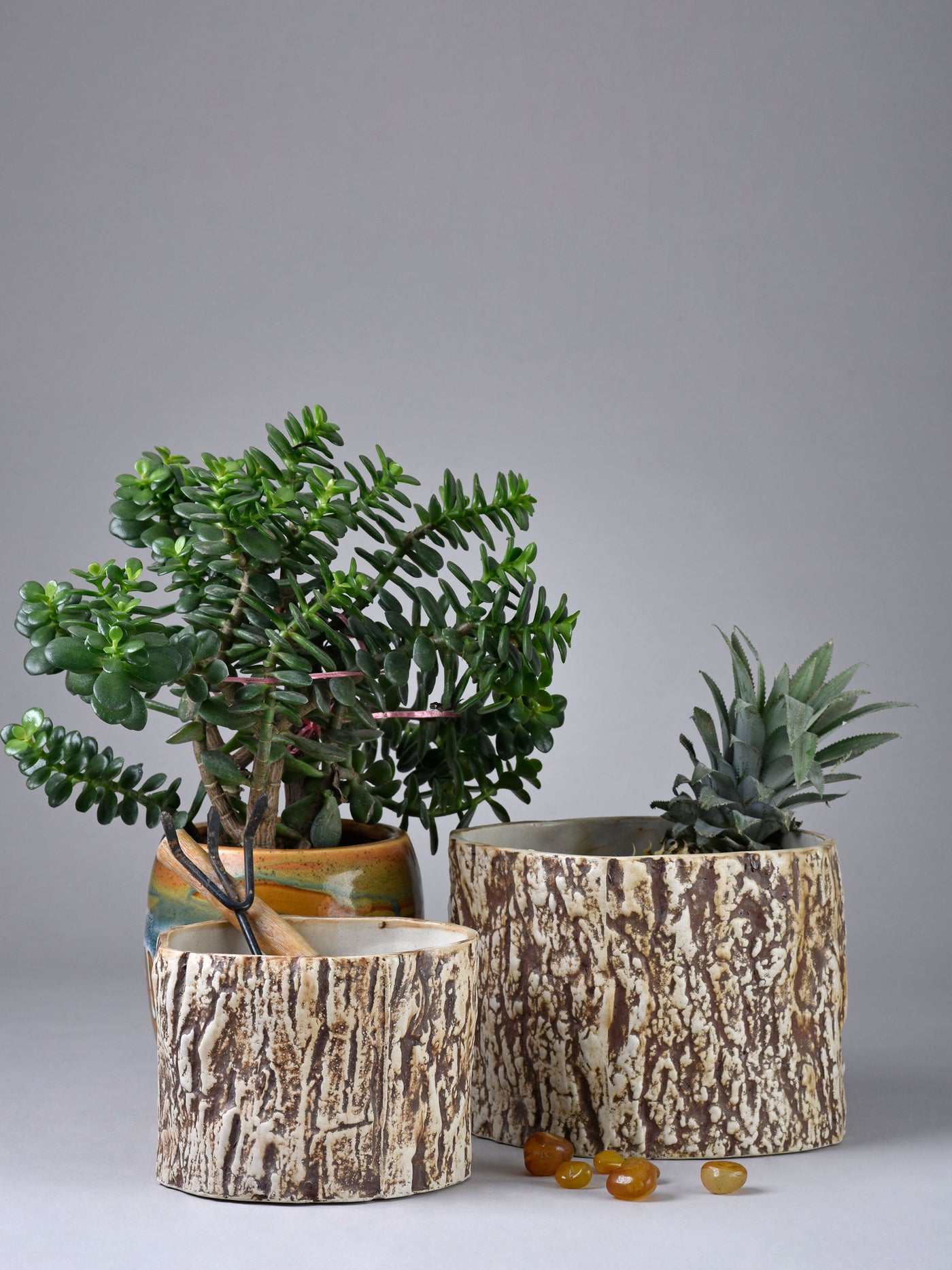 Tapered Trunk Planter