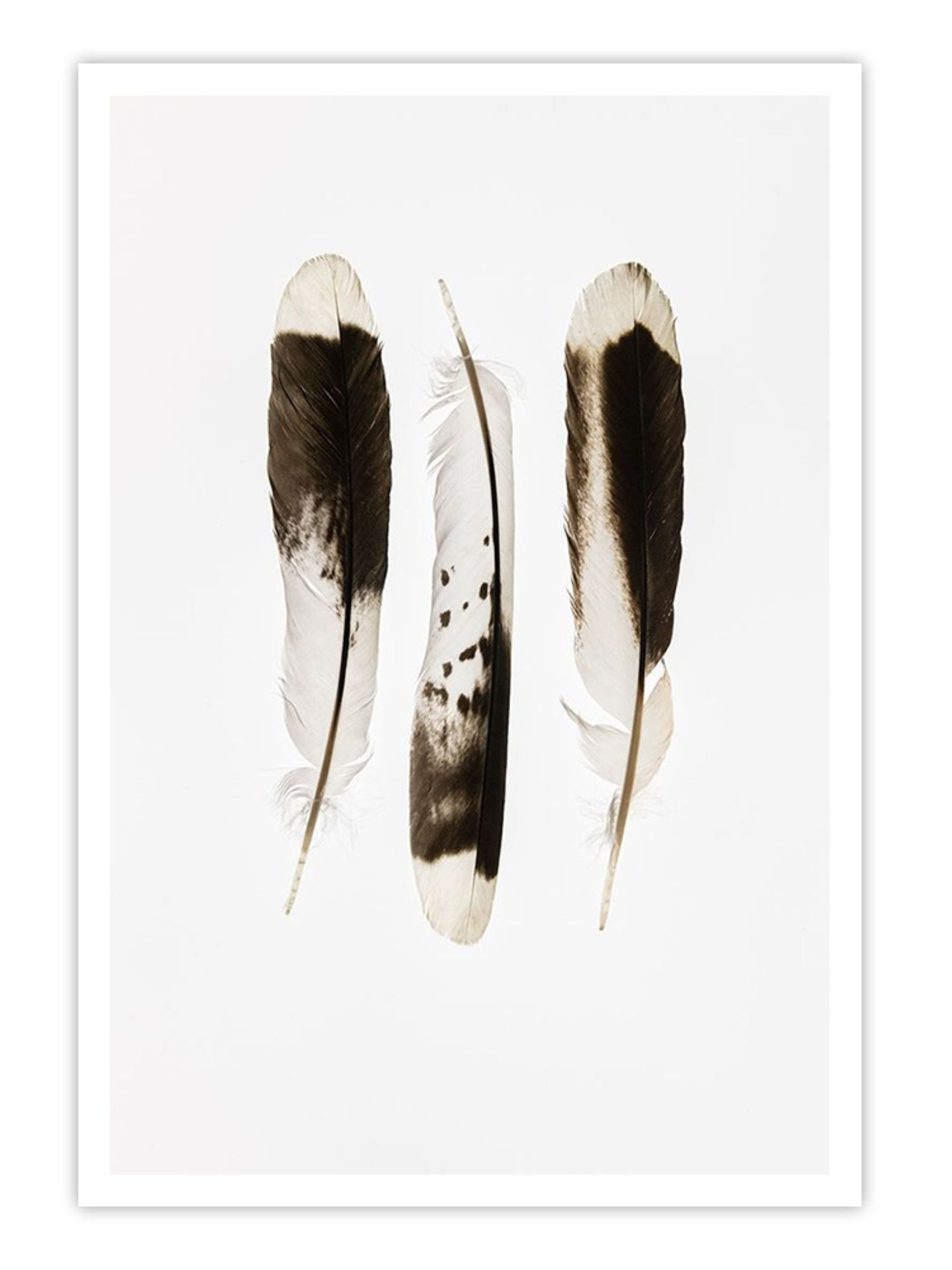 Wall Prints - Together