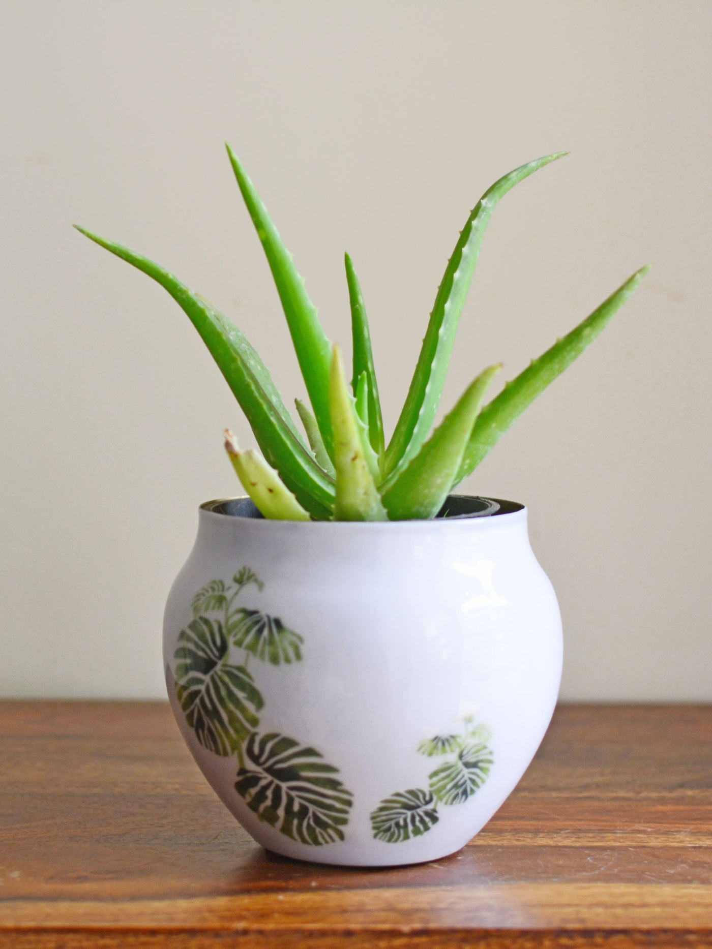 Tropical Vase Planter