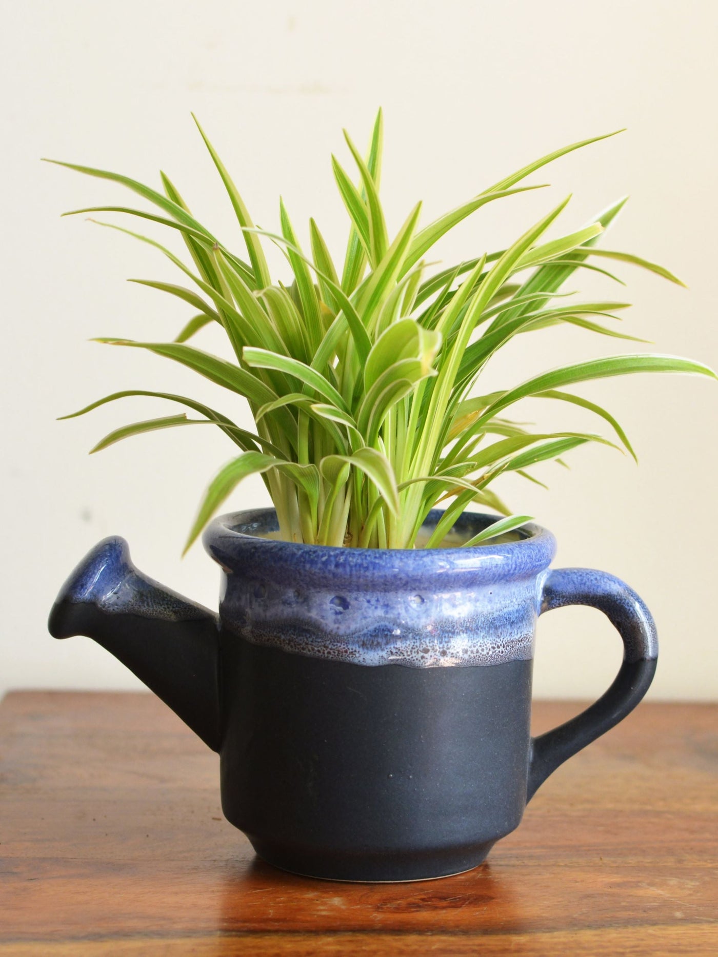 Watering Can Planter Black