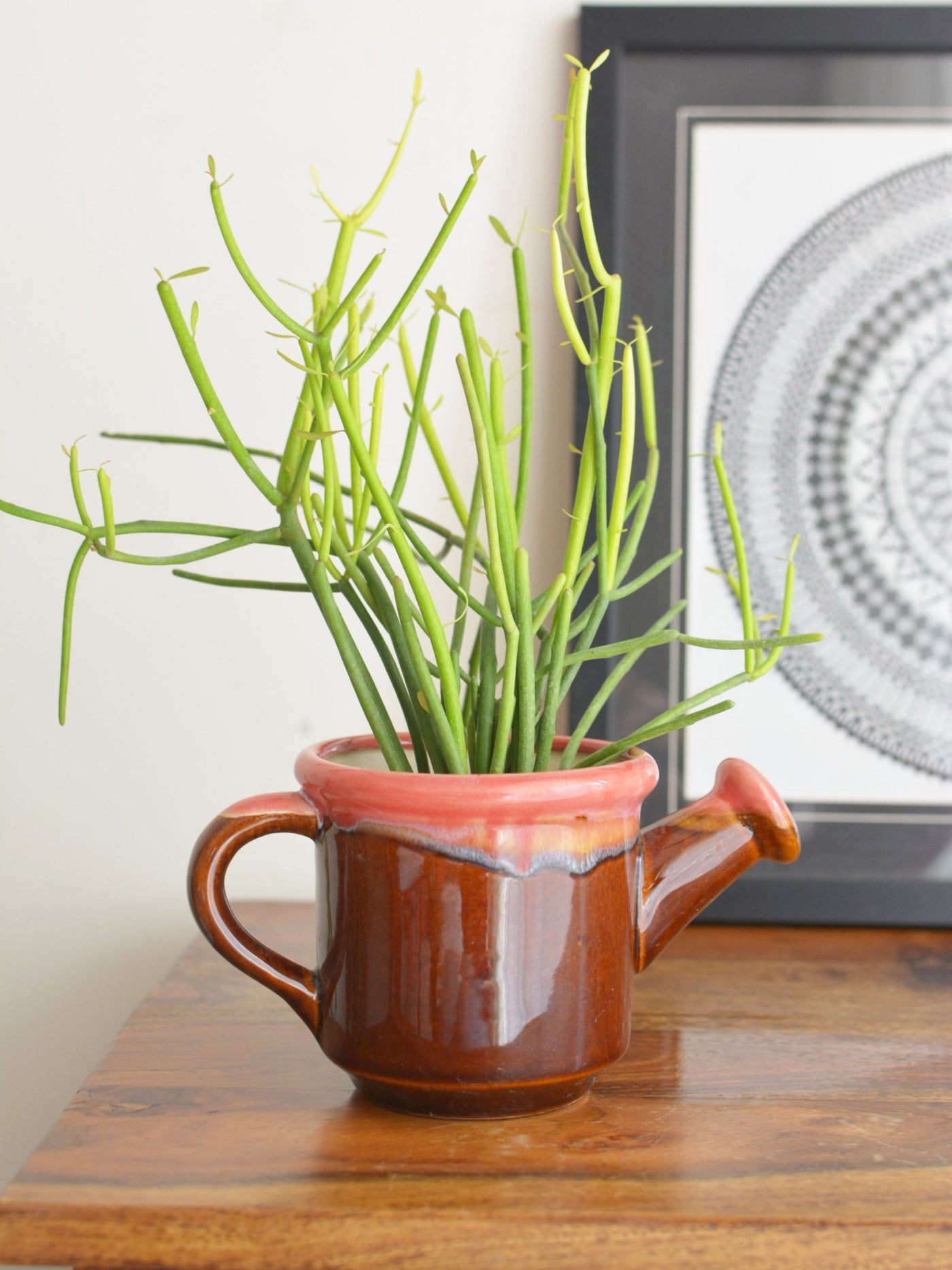 Watering Can Planter Brown