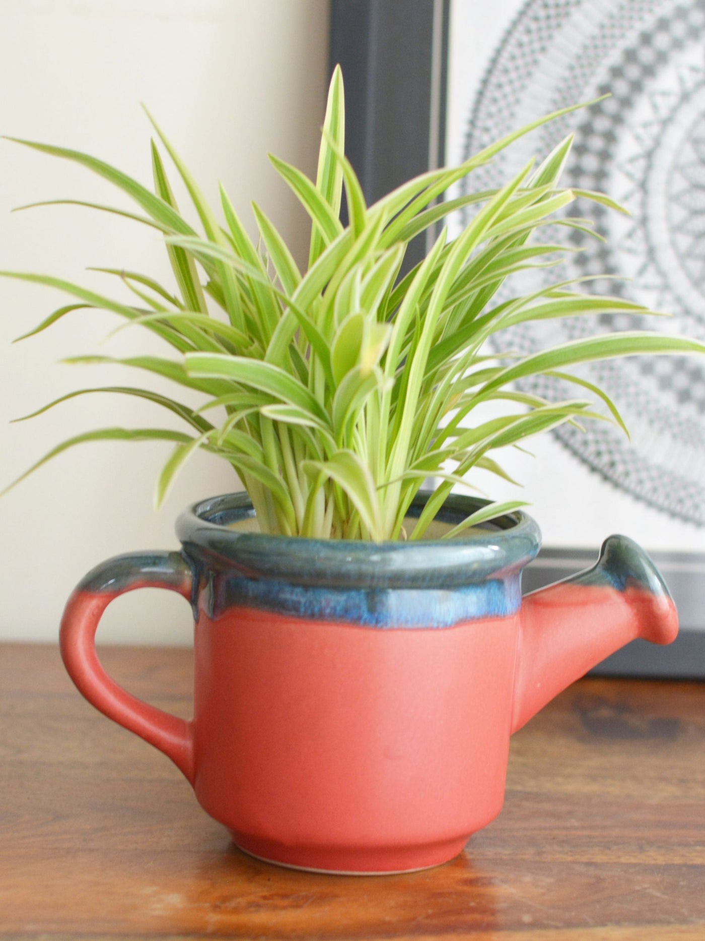 Watering Can Planter Red