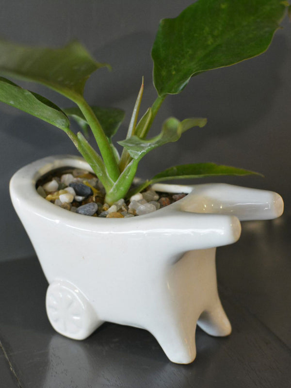 Wheelbarrow Planter