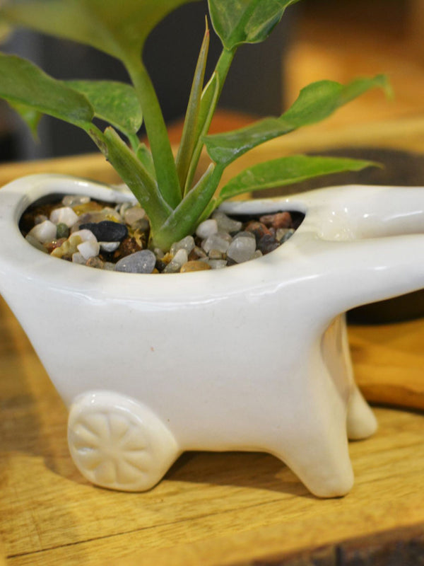 Wheelbarrow Planter